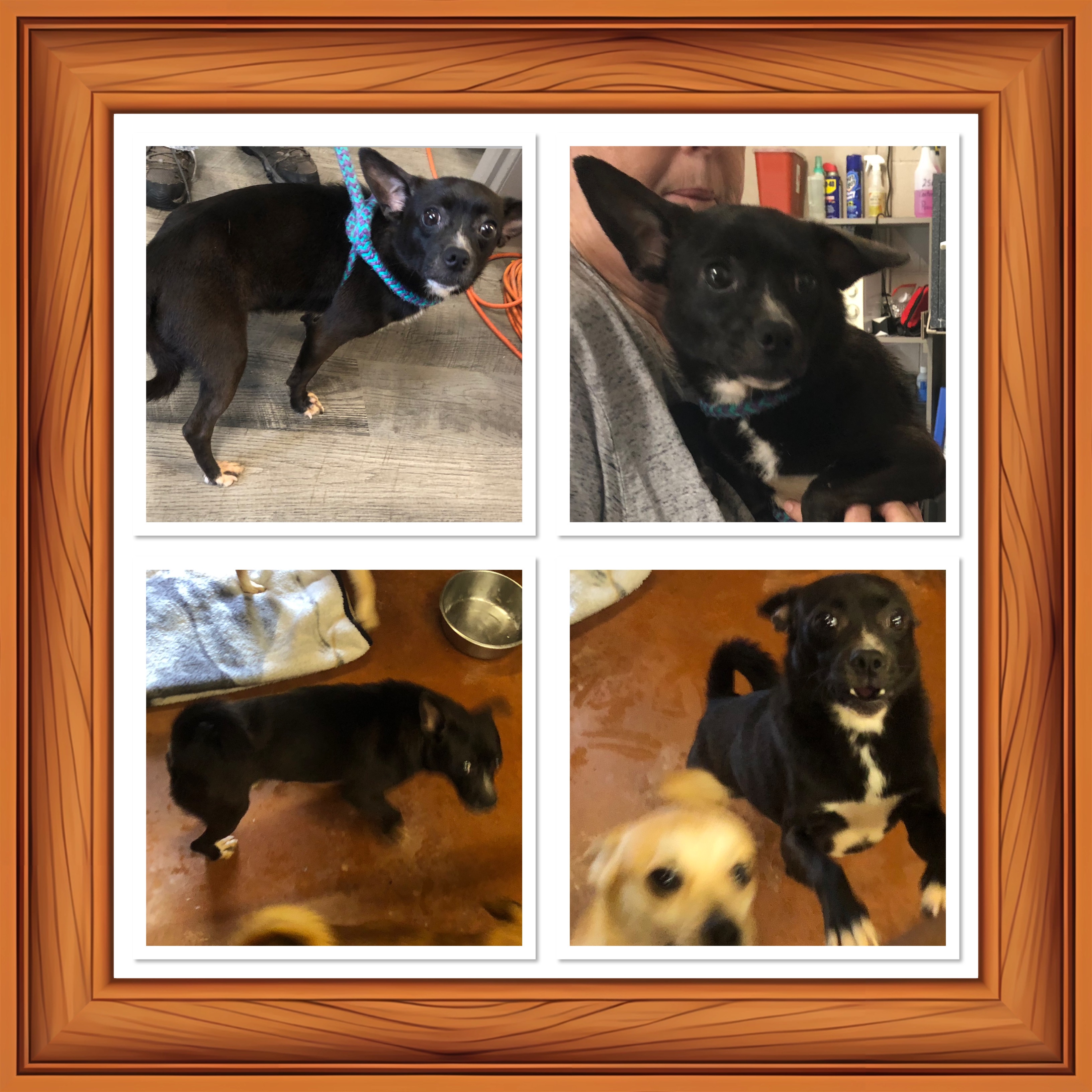 (View)